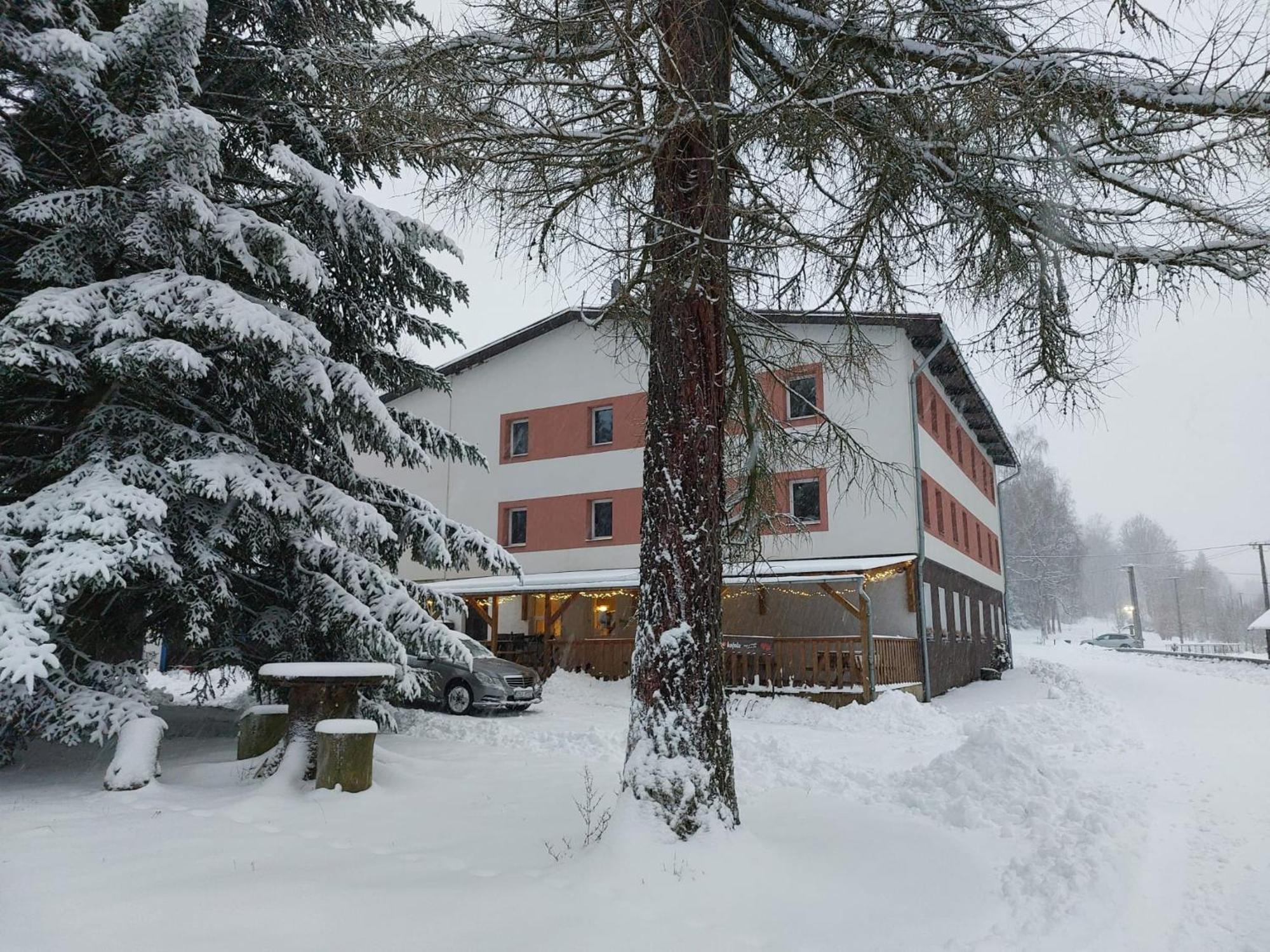 Hotel Bartosovice Bartosovice v Orlickych Horach Kültér fotó